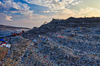 World Environment Day 2025