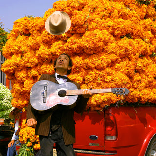 Lift Your Spirits With Marigold