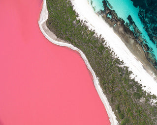 Hillier Pink – where adventure meets protest
