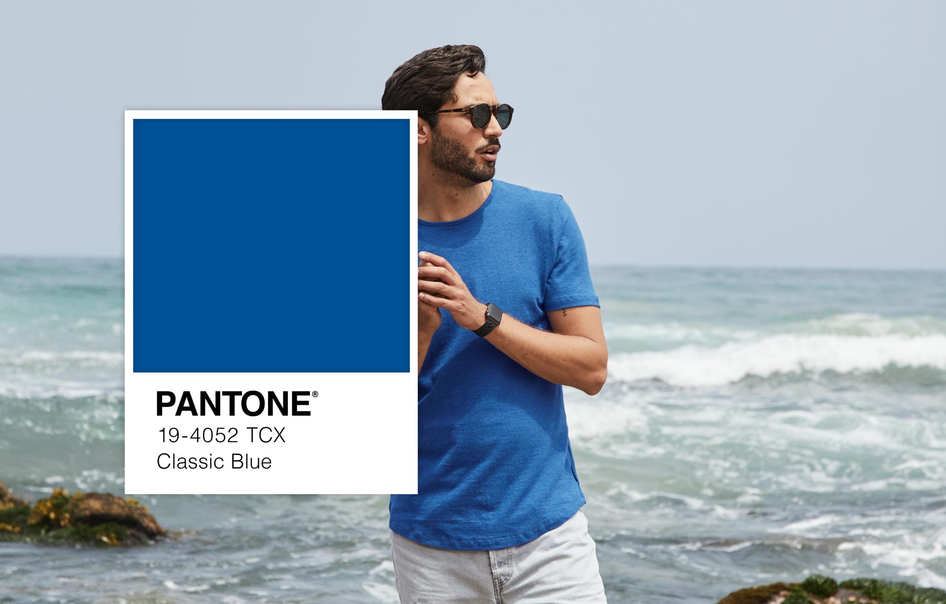 Royal Blue Pantone Colour