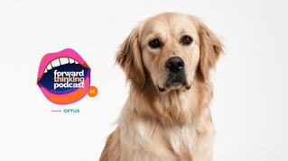 Serendipity, Podcasts and Golden Retrievers.