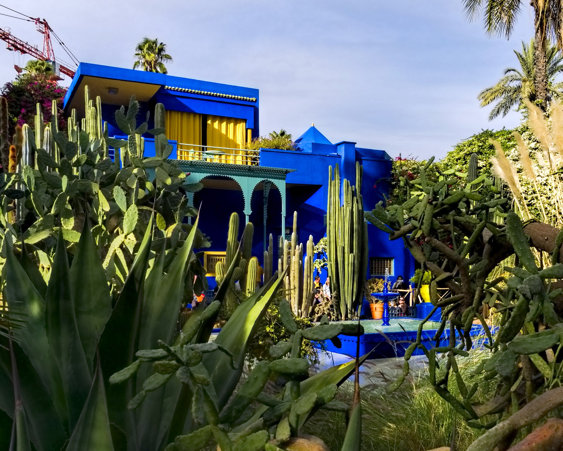 End the 2020 blues with Majorelle Blue