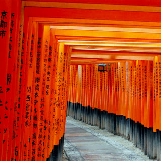 Torii Orange: Good Look. Good Luck.