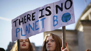 We're striking for the climate and you should too.