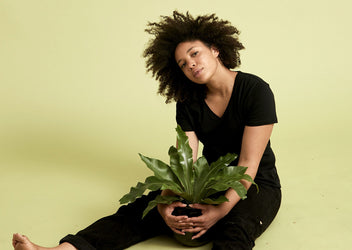 Women's Recycled Cotton Tees