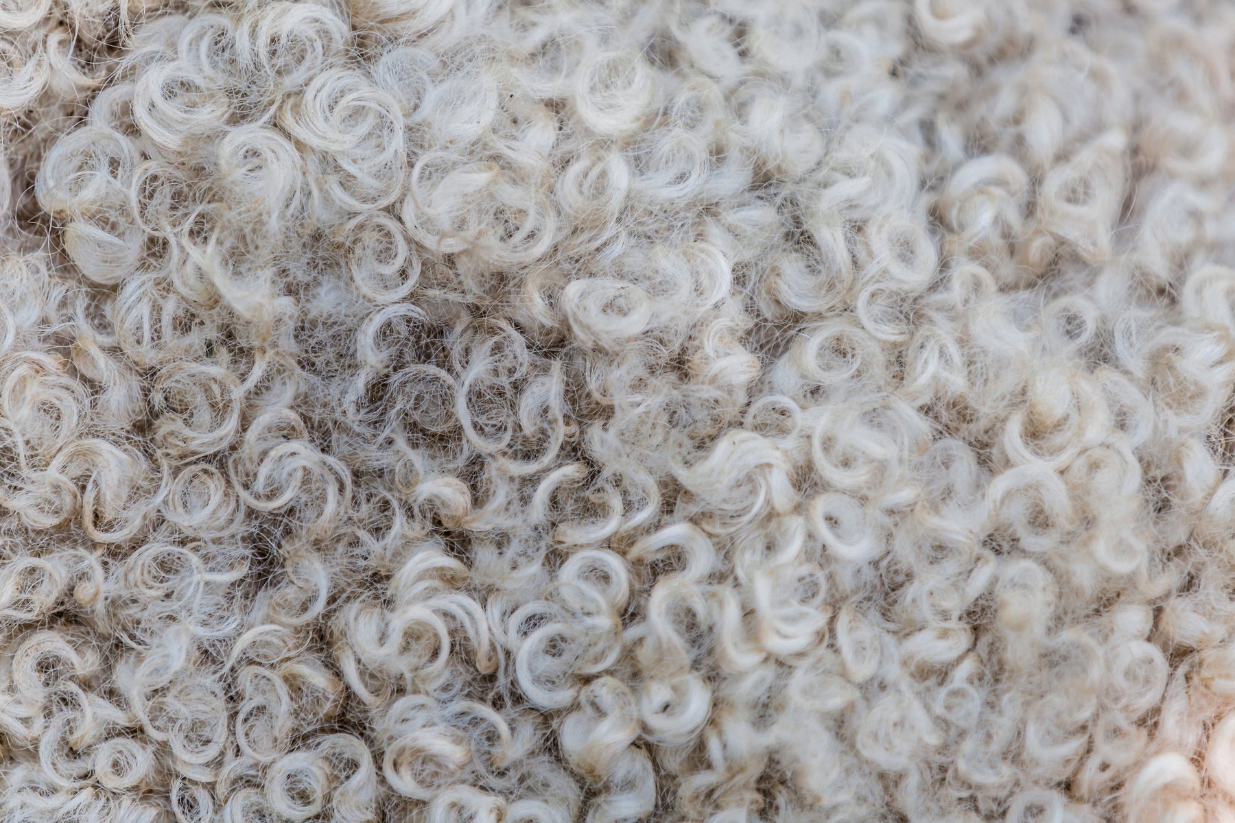 Zero Waste Merino Jumper