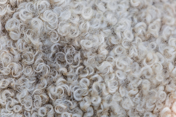 Zero Waste Merino Jumper